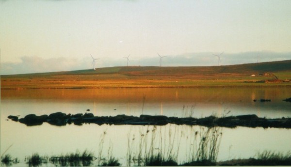 Image taken using a Werra IV with a Carl Zeiss Tessar  lense